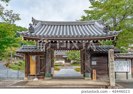 山口市Jogeji寺的街道風景 48446023