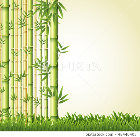 Background design with bamboo forest 48446403