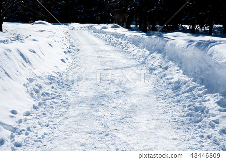 雪雪 雪雪 48446809