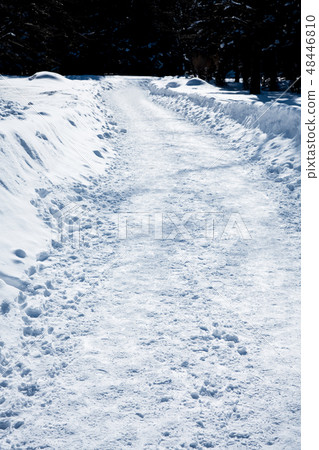 Snow snow 48446810