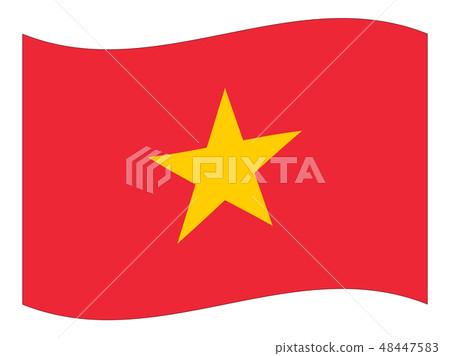 Socialist Republic of Vietnam flag with margin 48447583