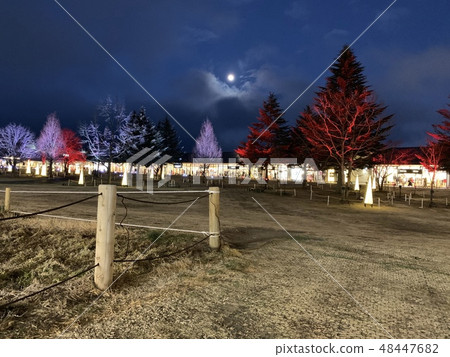 Fantastic light up of trees Fantastic light up of trees 48447682
