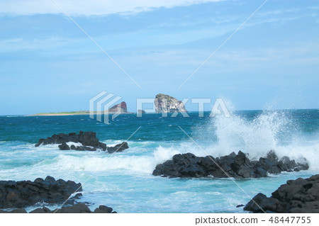 Brother, sea, waves, Brother, sea, waves, 48447755