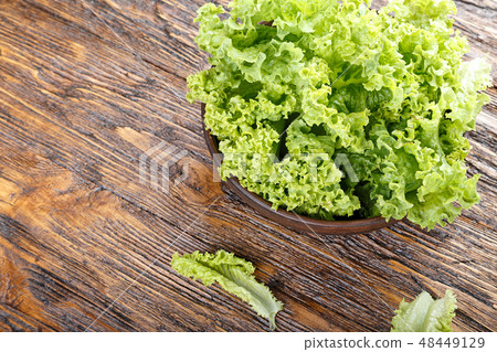 lettuce on the table 48449129