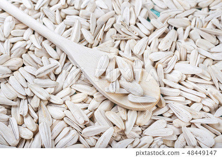 white sunflower seeds white sunflower seeds 48449147