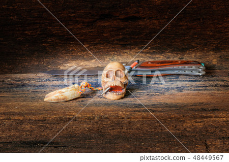 skull on wood in Halloween day concept skull on wood in Halloween day concept 48449567