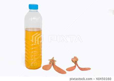 Fuel, oil, from Dipterocarpus alatus tree in the b 48450160