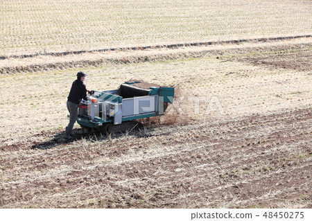 Winter work of rice field, scattered scenery of horse manure compost 48450275