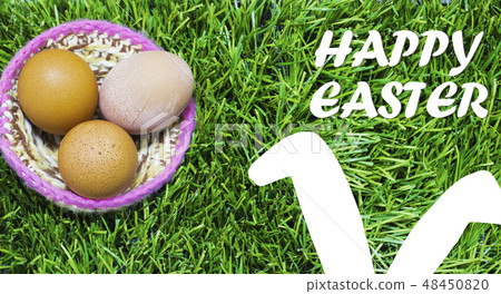 Easter eggs in nest on grass with bunny ears. Easter eggs in nest on grass with bunny ears. 48450820