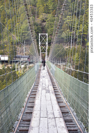 Tanose的懸索橋（奈良縣吉野郡戶津川村） 48453383