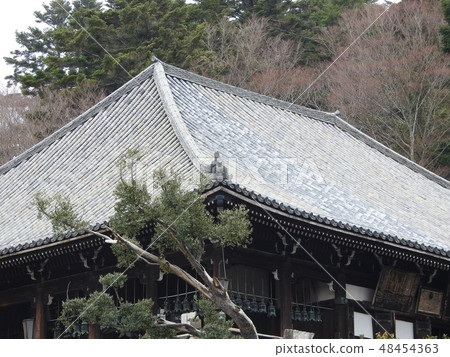 除水2月 除水2月 48454363
