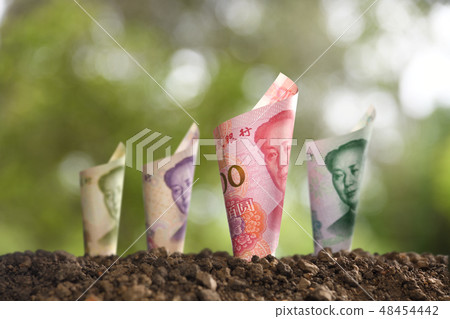 China Yuan banknote China Yuan banknote 48454442