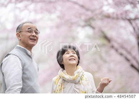 Senior couple looking at cherry blossoms 48454507