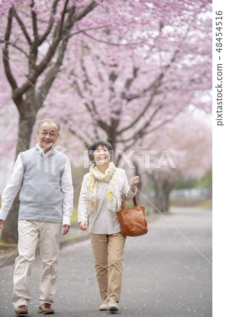 Senior couple walking in the cherry blossoms Senior couple walking in the cherry blossoms 48454516