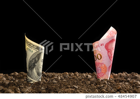 China Yuan banknote and US dollar banknote  48454907