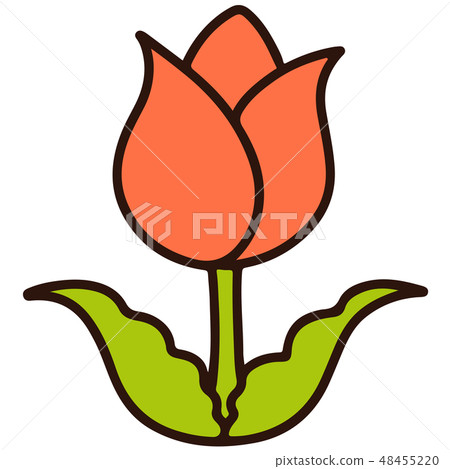 簡單可愛的紅色鬱金香圖和主線 簡單可愛的紅色鬱金香圖和主線 48455220