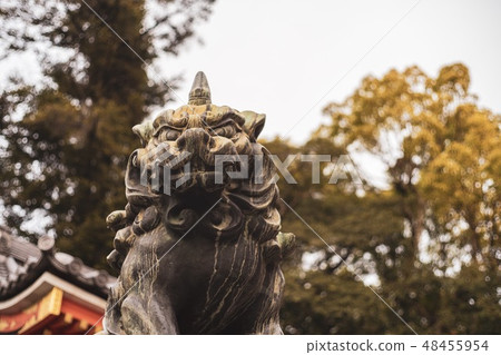 Guardian dog Guardian dog 48455954
