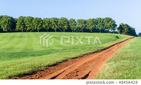 Grass Hillside Trees Dirt Road Summer Landscape 48456428