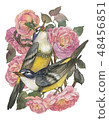 Vintage card with beautiful roses and two songbird. Can be used as invitation card for wedding 48456851