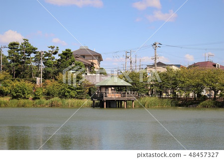 Sumadera Park·Dotani Pond 48457327