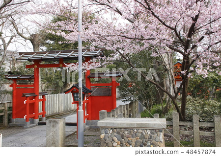 At the Kyoto Traffic Shrine 48457874