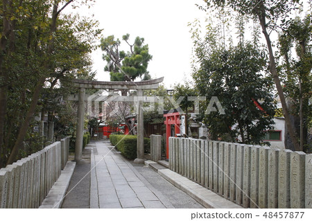 At the Kyoto Traffic Shrine At the Kyoto Traffic Shrine 48457877