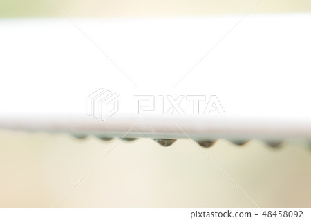 Macro world 48458092