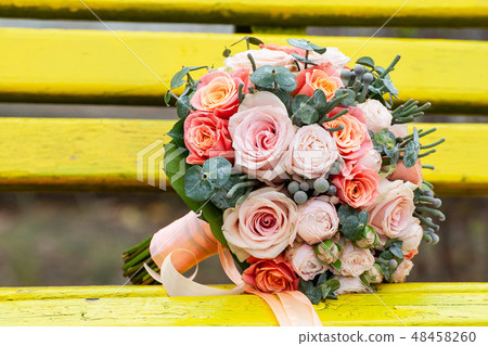Bride and groom in bright clothes on the bench 48458260