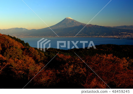 世界遺產富士山伊豆市Takumiyama秋天 48459245