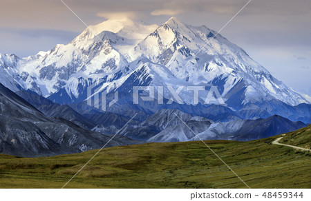 Mount McKinley - Denali National Park - Alaska 48459344