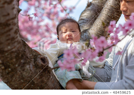 櫻花和家庭照片 48459625