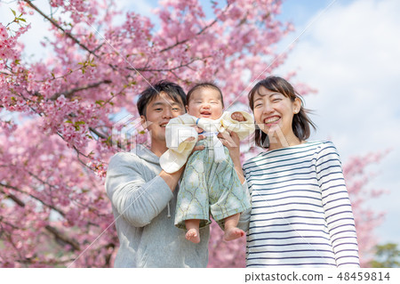 Cherry blossoms and family photos 48459814