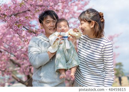 Cherry blossoms and family photos 48459815