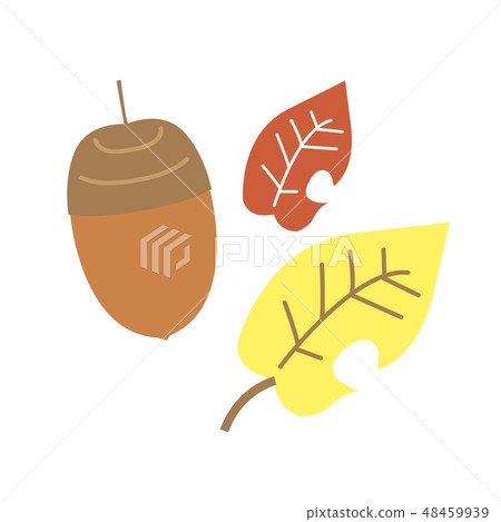 Fall fall leaves illustration Fall fall leaves illustration 48459939