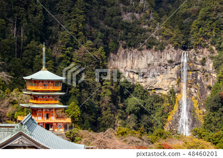 Nachi的瀑布和Aoeki Kogeji(Kumano Nachi Taiseisha)三重塔 Nachi的瀑布和Aoeki Kogeji(Kumano Nachi Taiseisha)三重塔 48460201