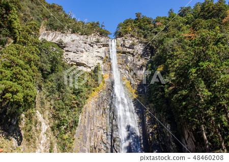 Nachi's waterfall Nachi's waterfall 48460208