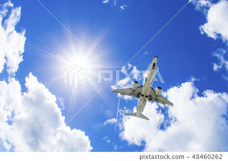[南極海灘]藍天和飛機 48460262