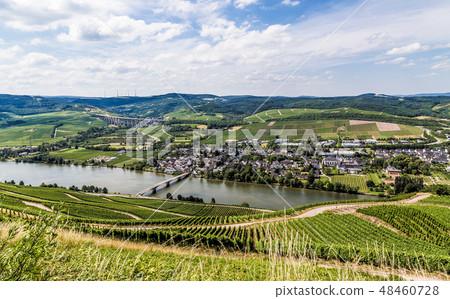 Longuich on the Moselle Germany 48460728