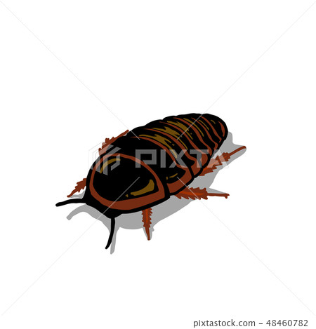 Duvia - Stock Illustration [48460782] - PIXTA