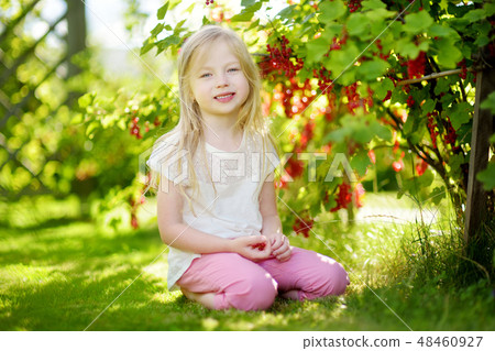 Cute little girl picking red currants in a garden on warm and summer day Cute little girl picking red currants in a garden on warm and summer day 48460927