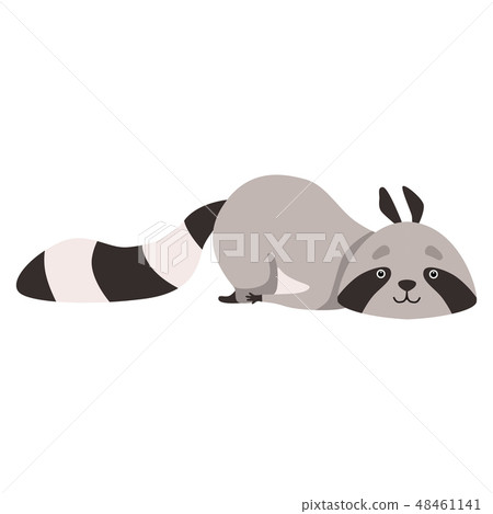 Cute Raccoon Lying on the Floor, Funny Humanized Grey Coon Animal Character Vector Illustration 48461141