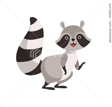Cute Gray Raccoon, Funny Humanized Coon Animal Character Vector Illustration Cute Gray Raccoon, Funny Humanized Coon Animal Character Vector Illustration 48461144