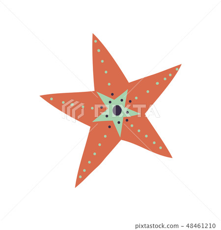 Marine or Ocean Starfish Underwater Creature Vector Illustration 48461210