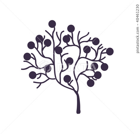 Marine or Aquarium Natural Seaweed Underwater Plant Vector Illustration Marine or Aquarium Natural Seaweed Underwater Plant Vector Illustration 48461230