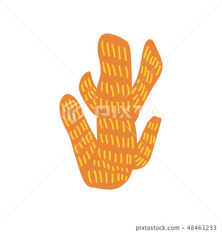 Seaweed, Marine, Ocean Natural Underwater Plant Vector Illustration Seaweed, Marine, Ocean Natural Underwater Plant Vector Illustration 48461233