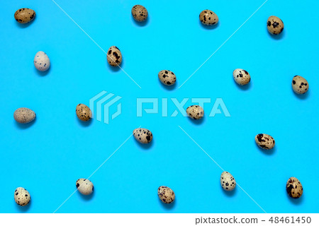 Quail eggs on blue background, copy space. Easter 48461450