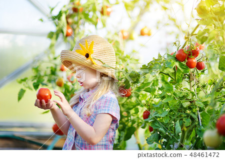 Adorable little girl wearing hat tomatoes Adorable little girl wearing hat tomatoes 48461472