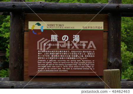 熊的熱水 熊的熱水 48462463