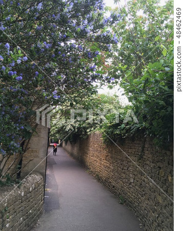 UK Cotswold's pathway UK Cotswold's pathway 48462469