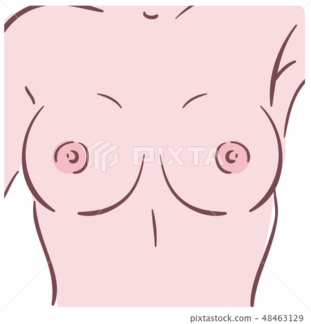 Illustration of a female breast Illustration of a female breast 48463129